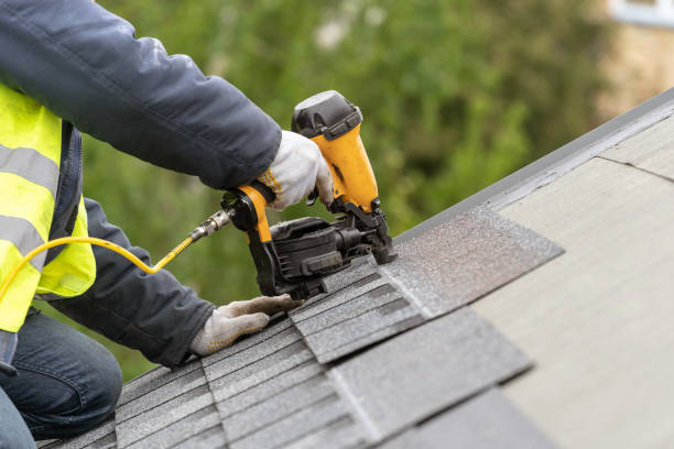 Best Roof Installation  in Detroit Beach, MI