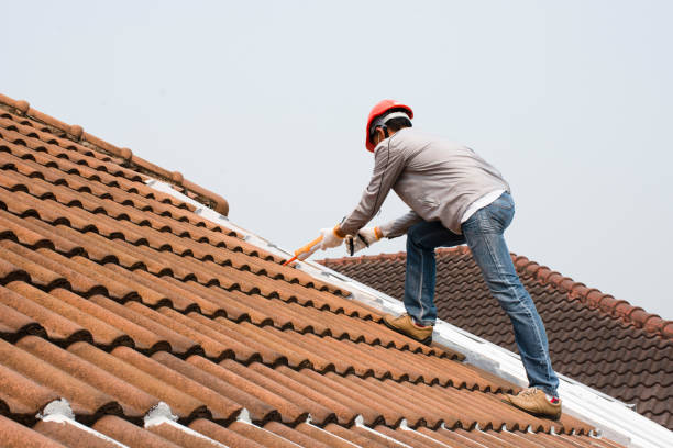 Best Chimney Flashing Repair  in Detroit Beach, MI