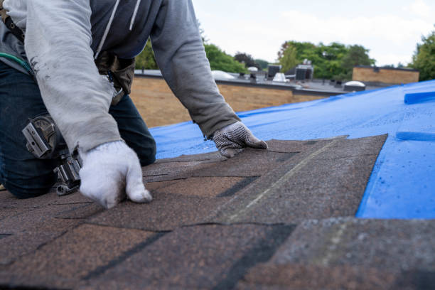 EPDM Roofing in Detroit Beach, MI