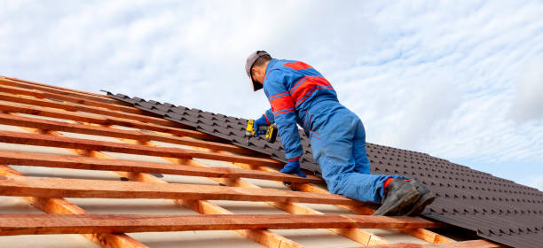 Waterproofing in Detroit Beach, MI