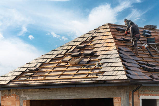 Best Roof Coating and Sealing  in Detroit Beach, MI