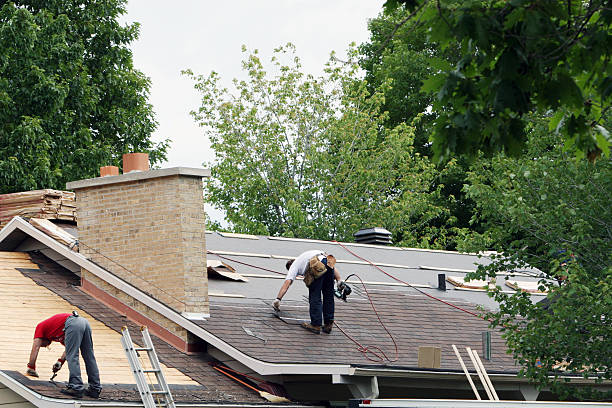 Best Tile Roofing Installation  in Detroit Beach, MI