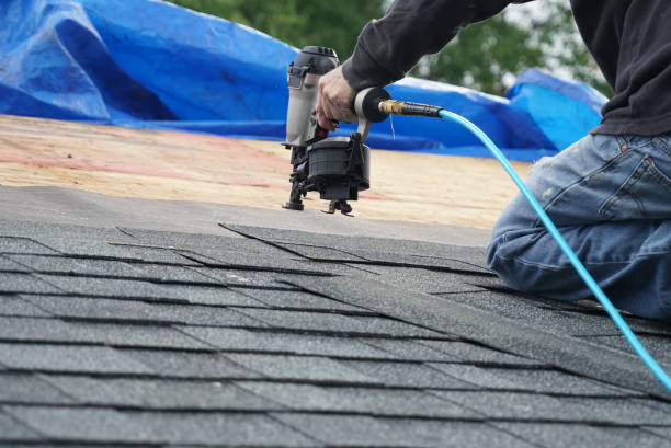 Best Storm Damage Roof Repair  in Detroit Beach, MI