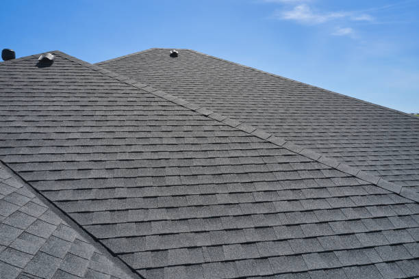 Best Roof Maintenance and Cleaning  in Detroit Beach, MI