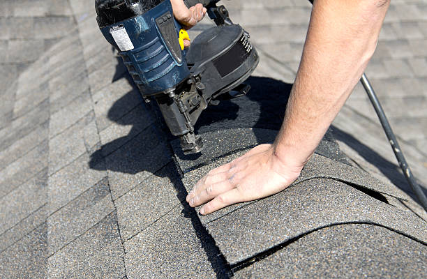 Best Roof Leak Repair  in Detroit Beach, MI