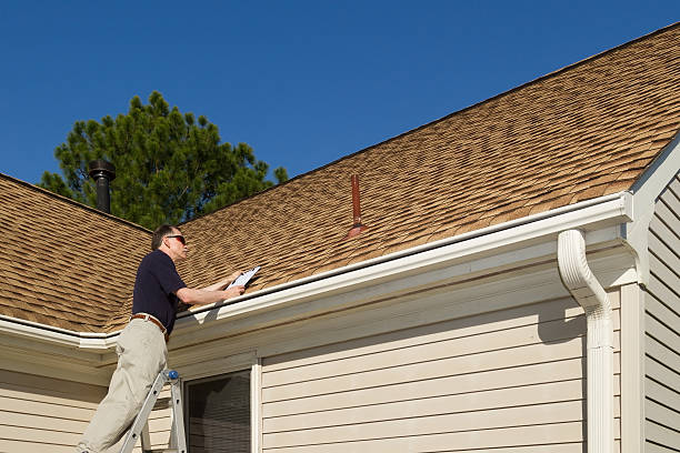 Best Roof Moss and Algae Removal  in Detroit Beach, MI