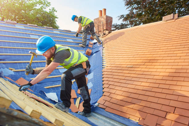 Trusted Detroit Beach, MI  Roofing repair and installation Experts