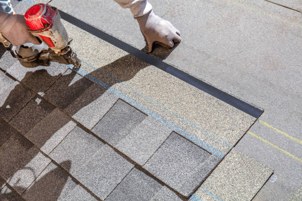 Best Roofing for New Construction  in Detroit Beach, MI
